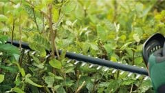 Bosch UniversalHedgeCut 50 Çit Kesme Makinesi - 06008C0501