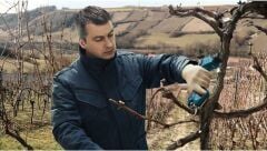 Bosch Pro Pruner Akülü Bahçe Makası (Akü ve Şarj Cihazı Dahil Değildir) - 06019K1020